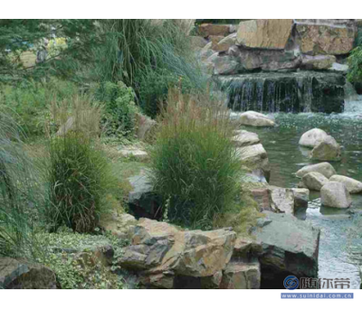 百草園供應(yīng)可靠的園林景觀工程，寧波與博羅縣專業(yè)服務(wù)